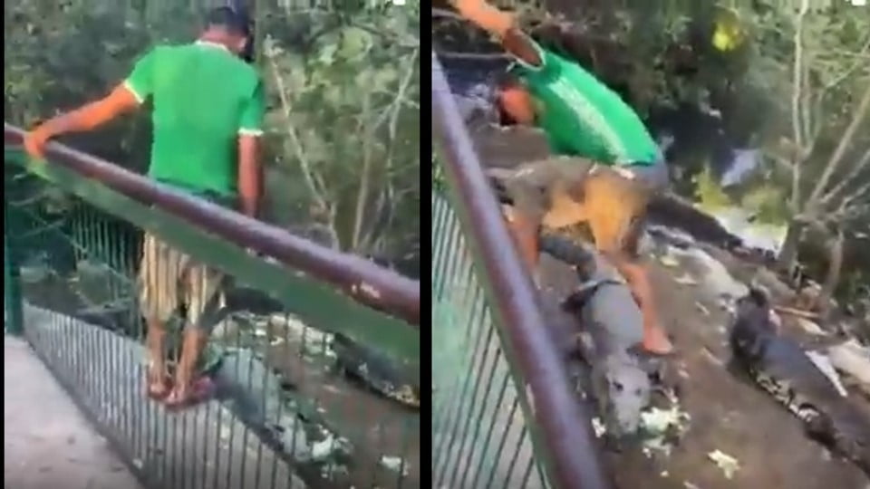 Impondrán multas de hasta 4 mil pesos por ingresar al área de cocodrilos en Tampico