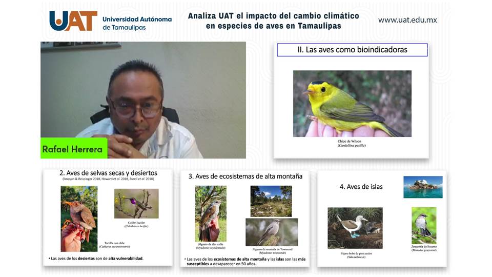 Analiza UAT el impacto del cambio climático en especies de aves
