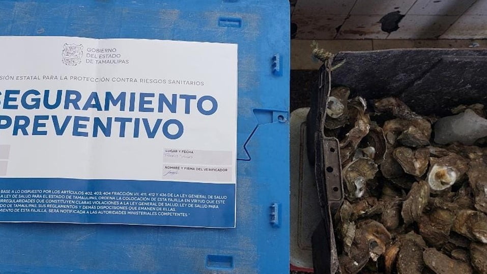 Confisca COEPRIS 30 kilos de ostión