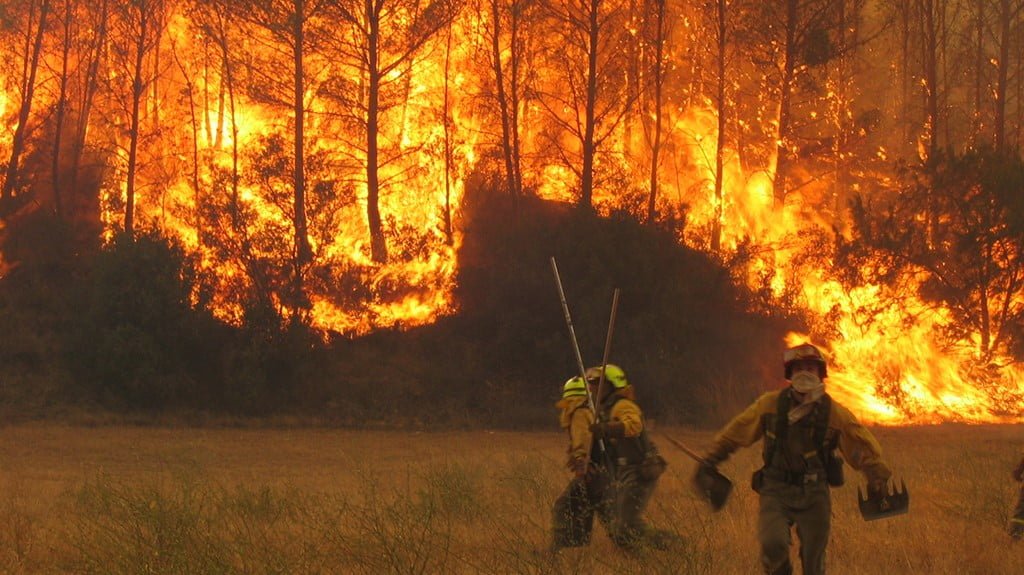 Van 3 mil hectáreas consumidas por incendios en Tamaulipas, la mitad en “El Cielo”