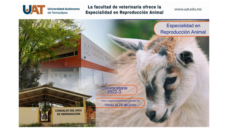 Ofrece UAT la Especialidad en Reproducción Animal