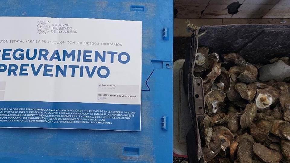 Coepris decomisa ostión contaminado en Tampico