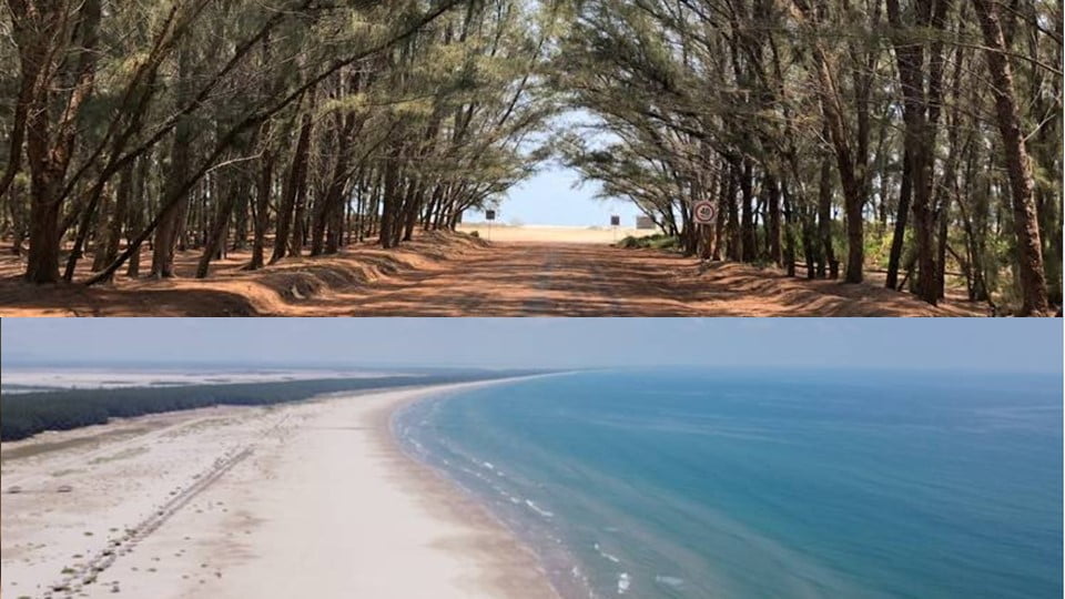 Habrá transporte gratuito en Semana Santa a la playa Tesoro en Altamira