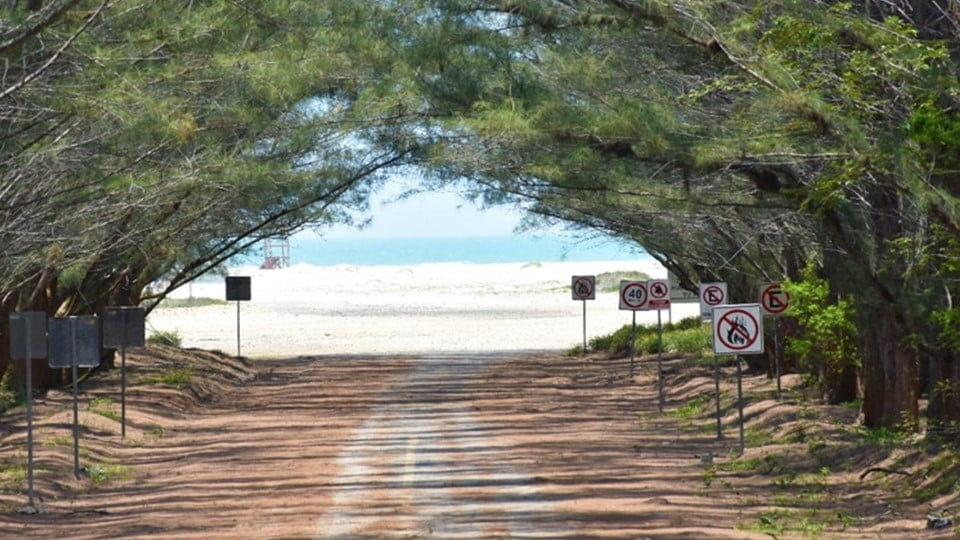 Previo a semana santa redoblaran seguridad en playa tesoro de Altamira