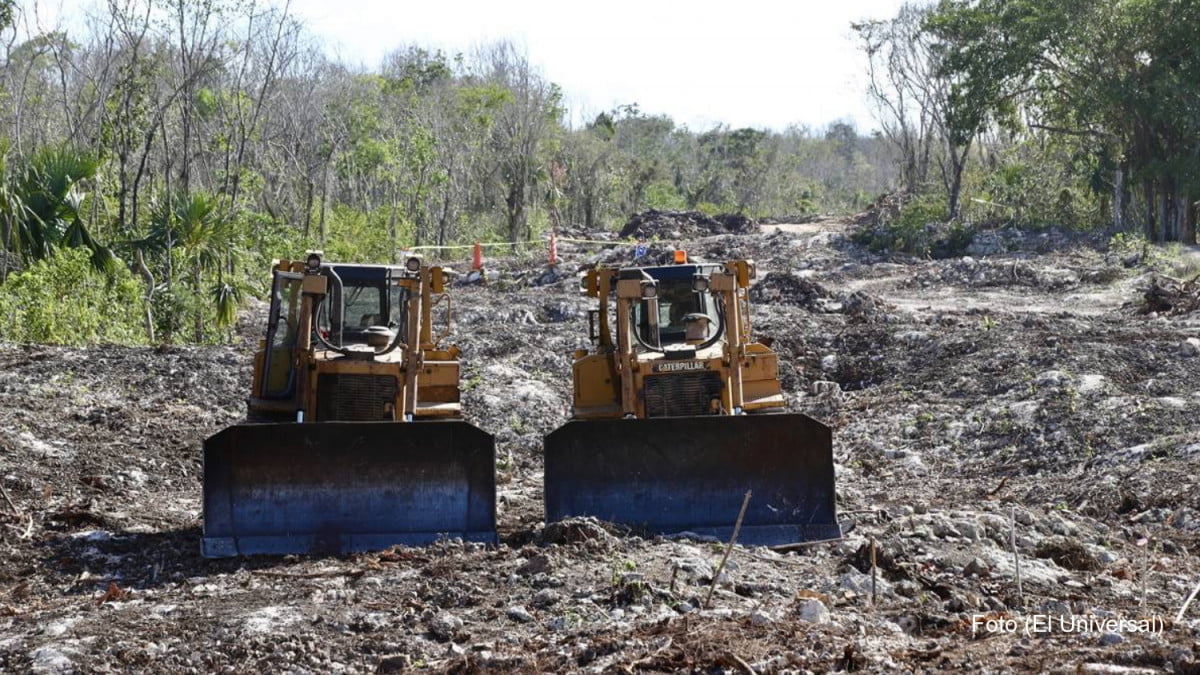 Juez concede suspensión definitiva que frena obras del tramo 5 del Tren Maya