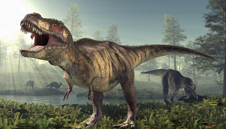 Hallan el diente de dinosaurio más grande en el mundo
