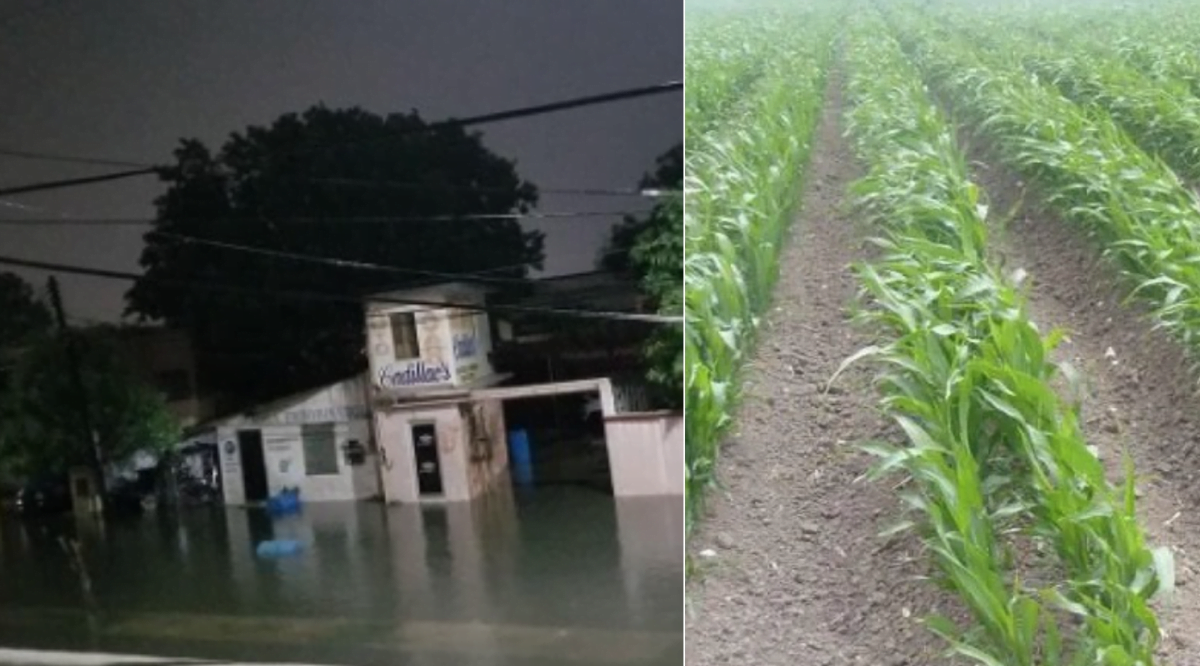Lluvias en Matamoros dejan 60 colonias inundadas pero benefician al sector agrícola
