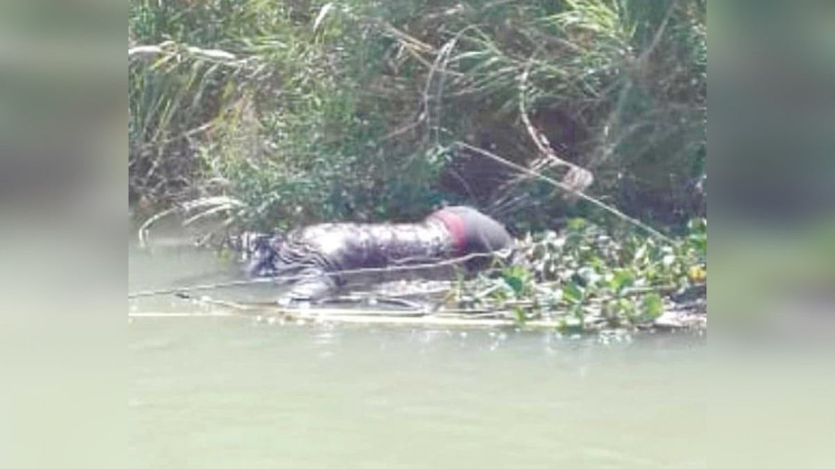 Localizan dos cadáveres en río Bravo de Reynosa