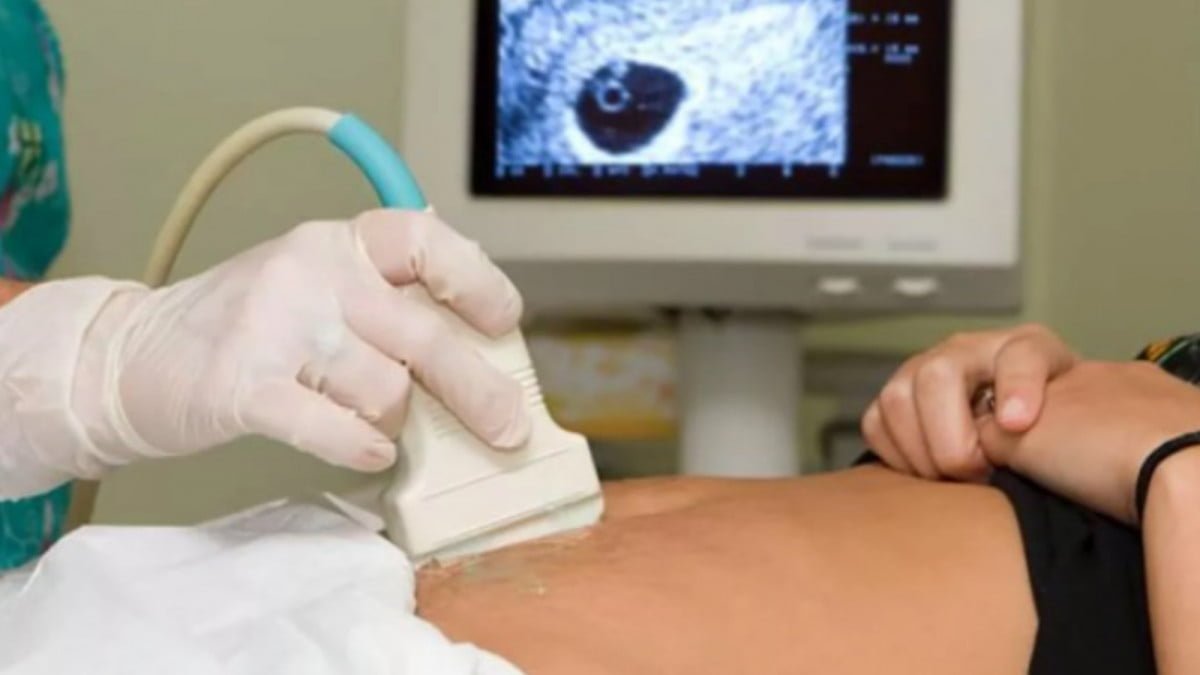 En diez años, se practicaron seis abortos legales por violación en Tamaulipas