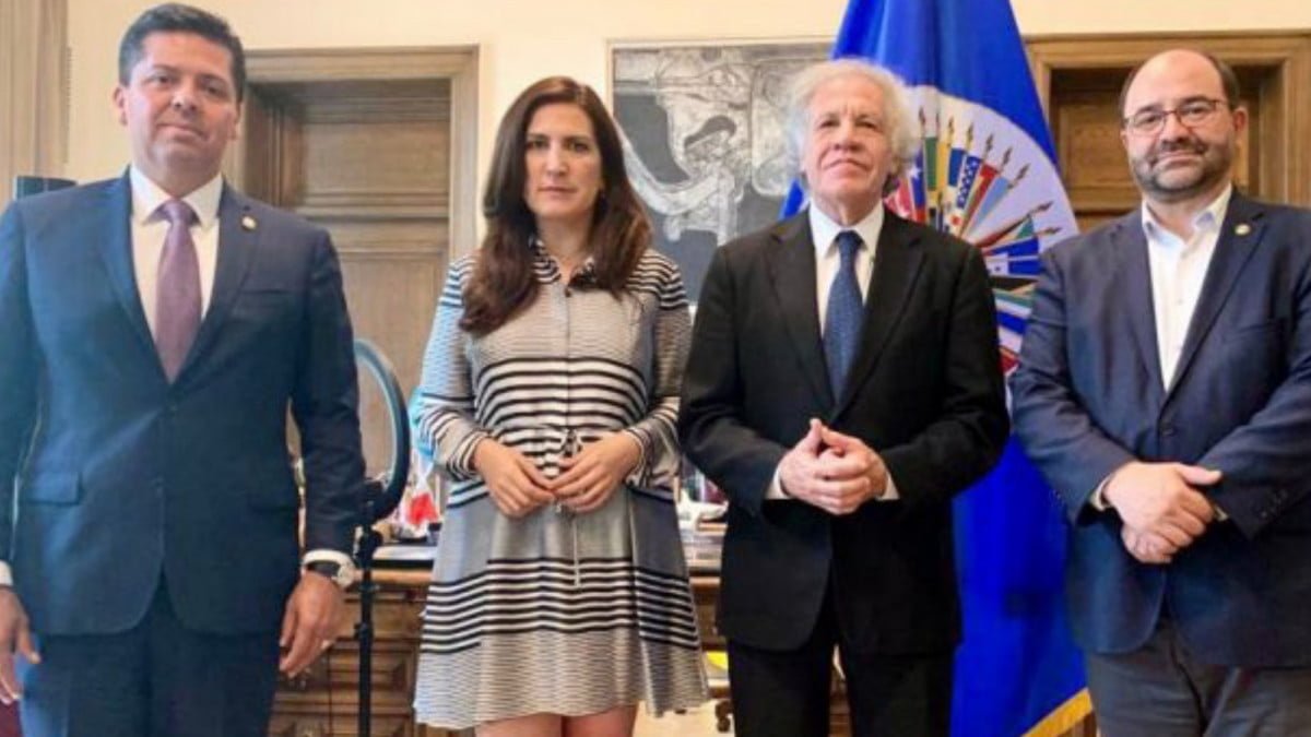 Acude López Rabadán a OEA; solicita intervención ante operación del crimen organizado en elecciones de Tamaulipas