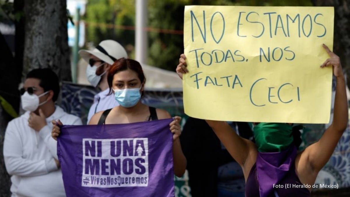 Fueron sicarios los que asesinaron a la activista Cecilia Monzón: AMLO