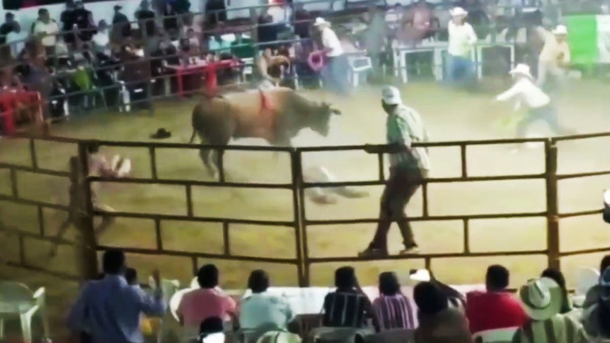 Hombre muere aplastado por un toro durante jaripeo 