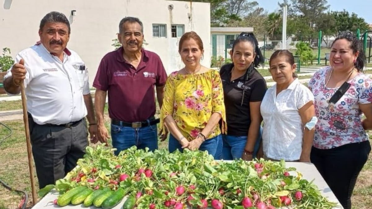 Promueven los huertos urbanos en Ciudad Madero