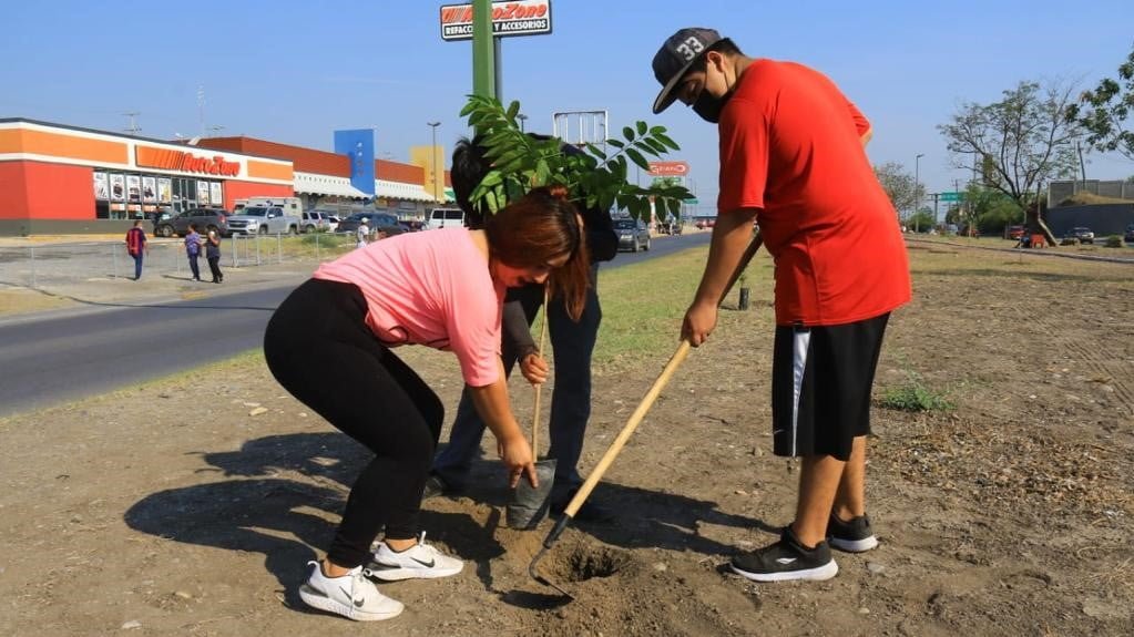 Implementa Municipio de Victoria programa de reforestación