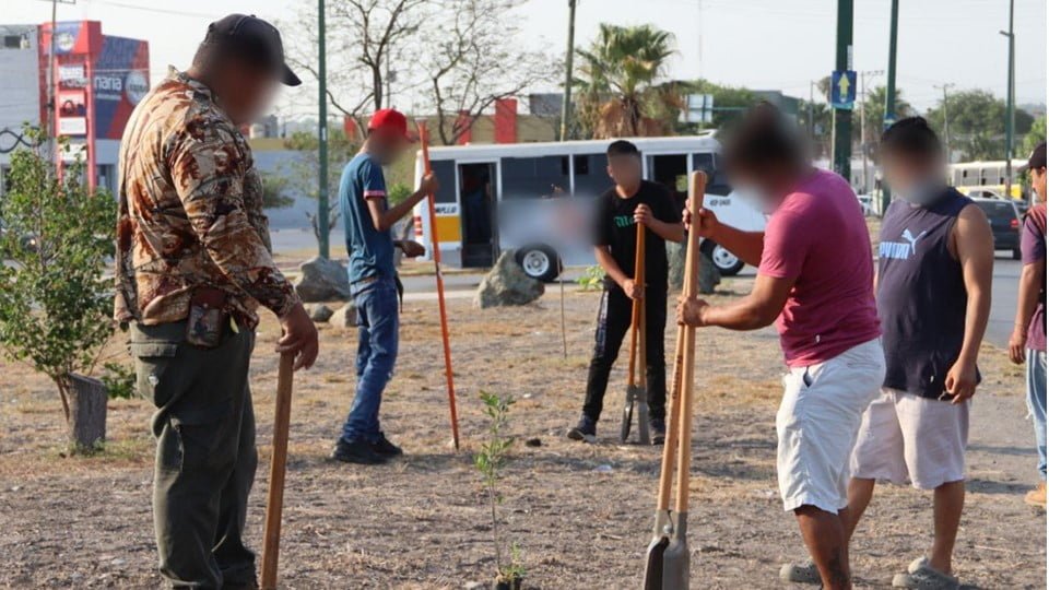 Jóvenes realizan reforestación como medida de sanción por delinquir