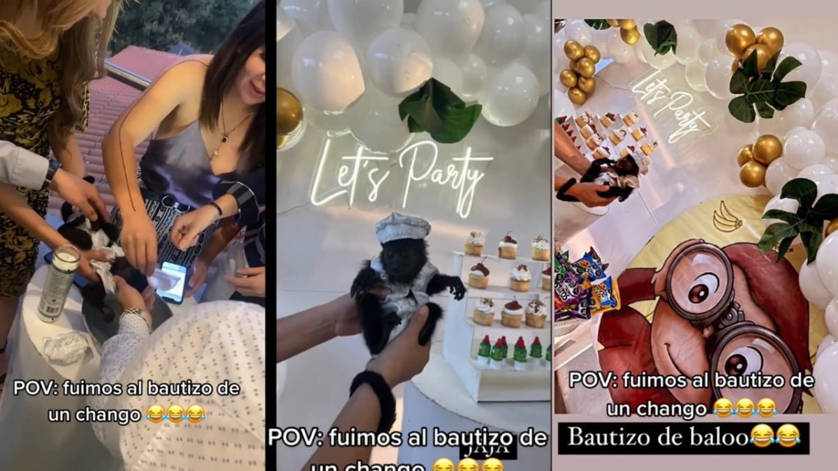 “Un día normal en México”; Bautizan a changuito y vídeo se hace viral