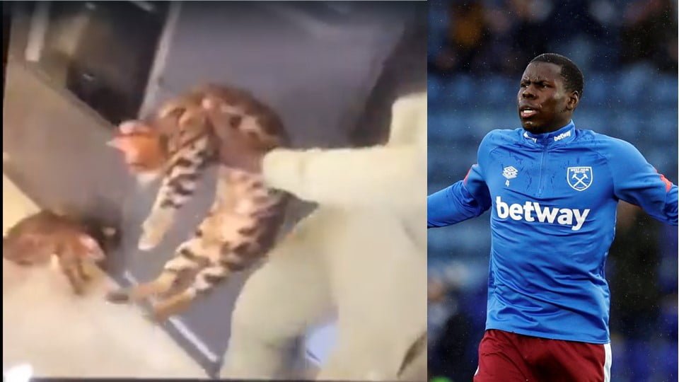 Filtran vídeo de futbolista maltratando a su gato