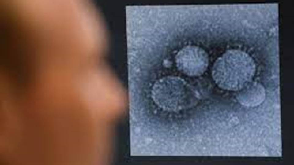 Reaparece coronavirus MERS, más letal que el covid-19, en Qatar y Omán