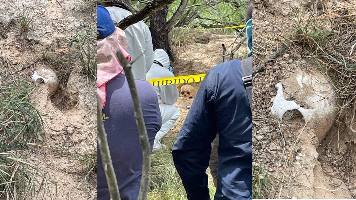 Encuentran cadáveres humanos en Reynosa
