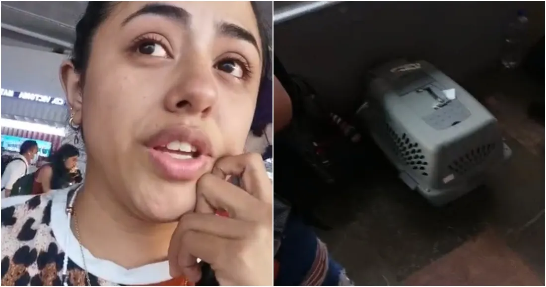 Usuaria narra como su perrito murió por negligencia de una línea de autobús