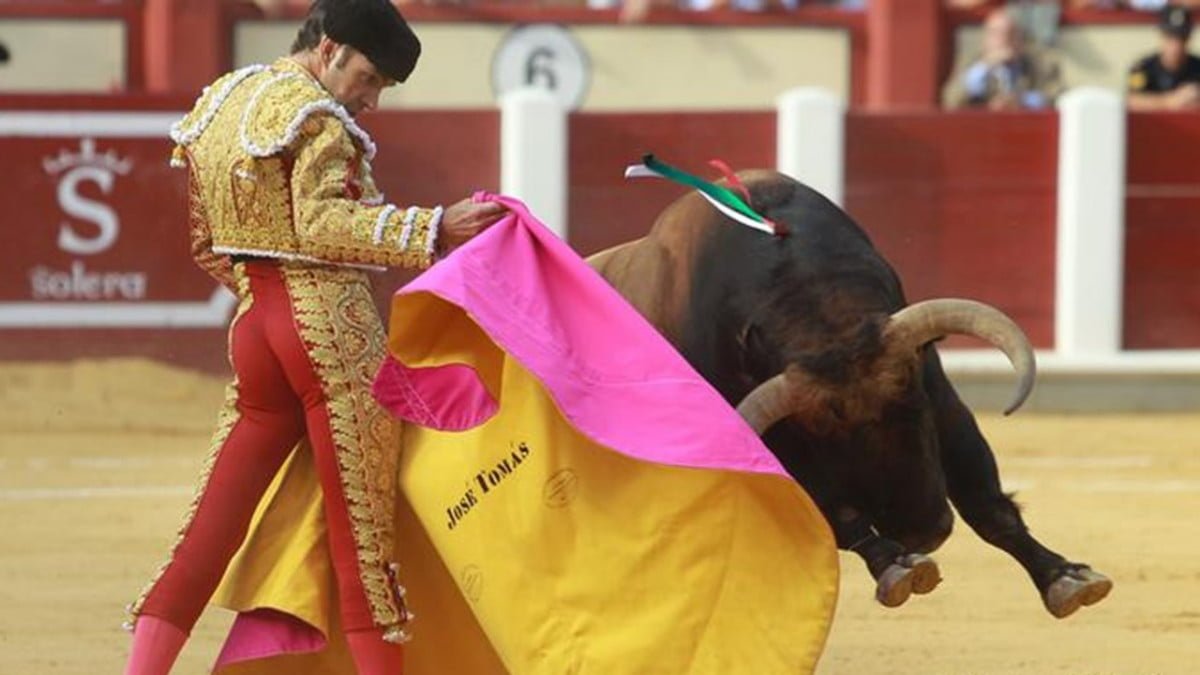 Suspenden corridas de toros en la Plaza México