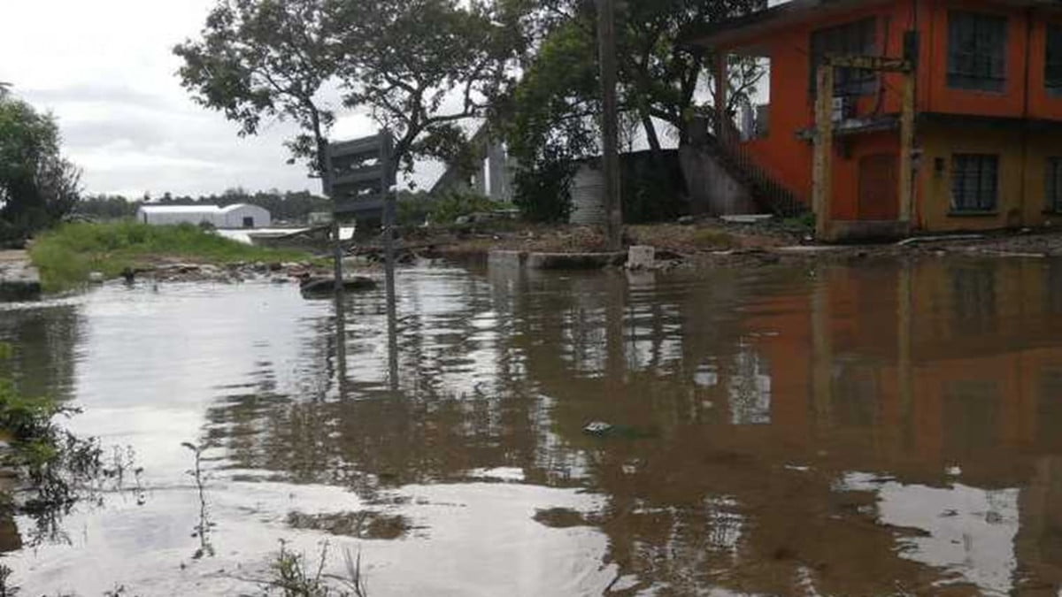 Familias viven en riesgo por desbordamiento de ríos y lagunas en Tampico