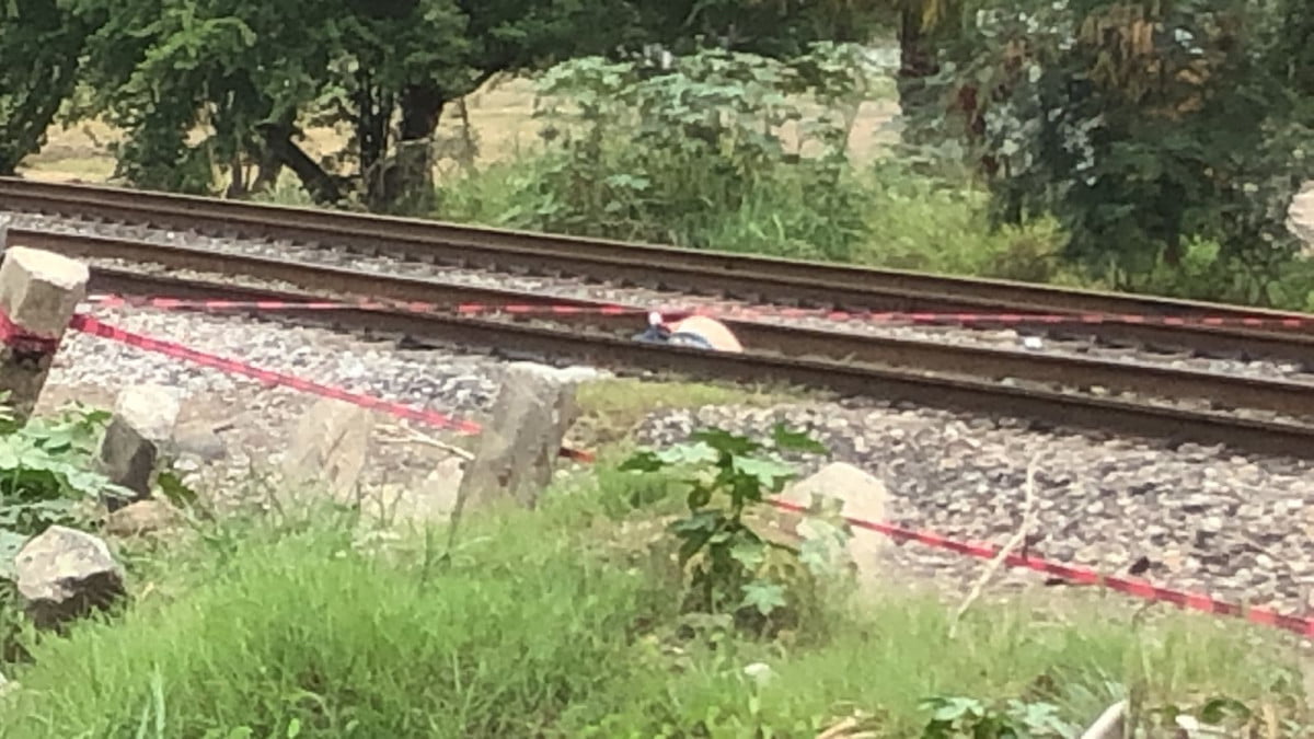 Le pasa el tren encima y muere