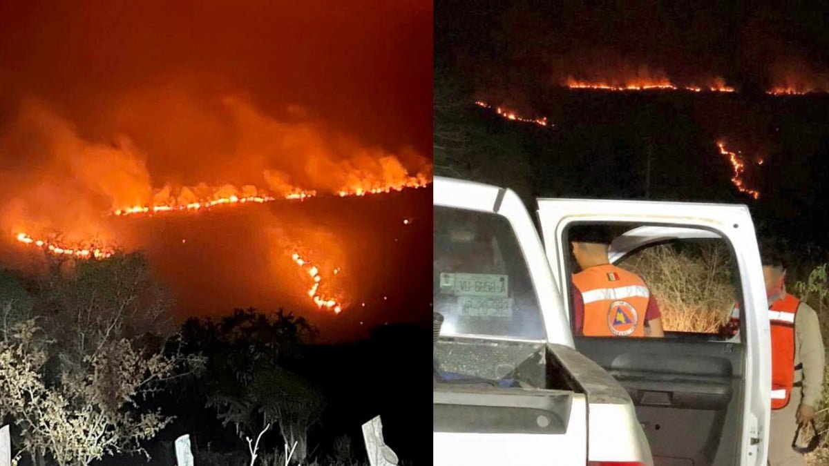 Protección Civil reporta incendio forestal en González, Tamaulipas