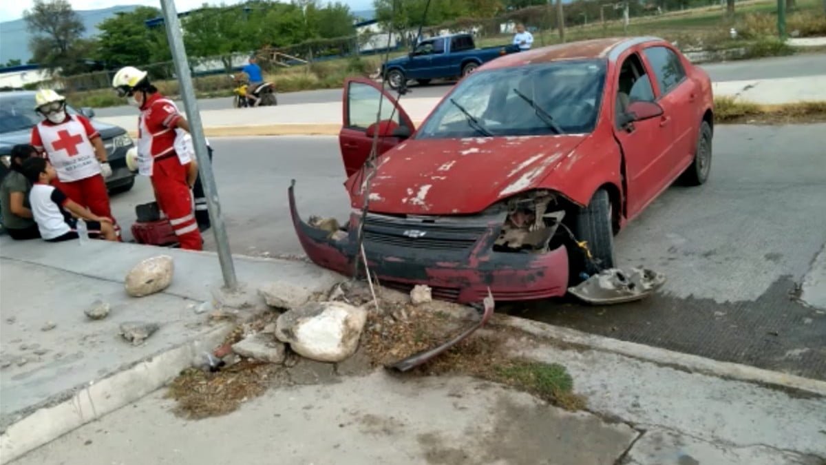 Mujer termina dando volantazo por esquivar a perritos
