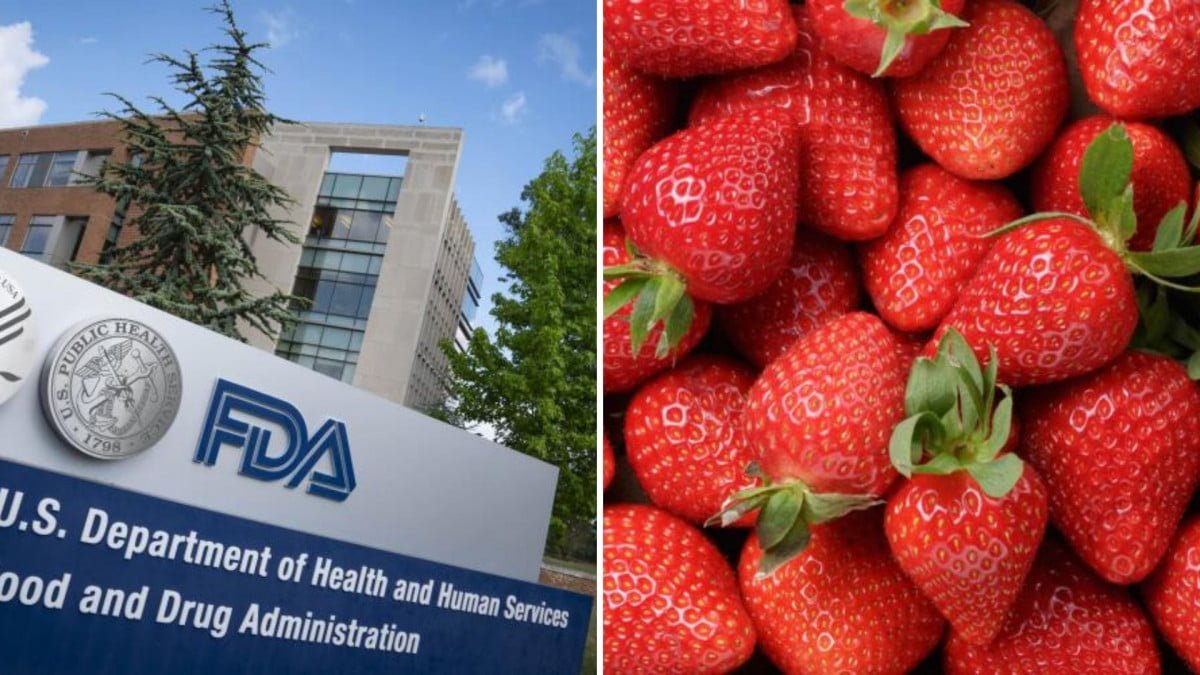Estados Unidos y Canadá vinculan brote de hepatitis A con fresas mexicanas