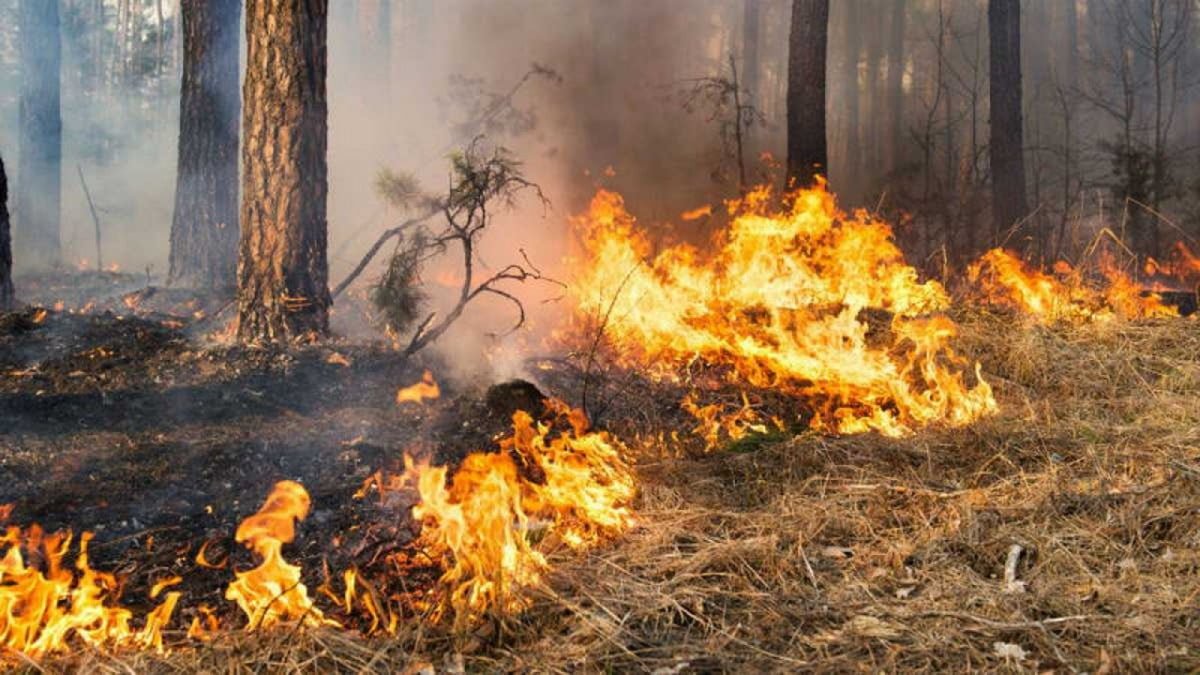 Lluvias no ayudan a combatir incendios en Tamaulipas