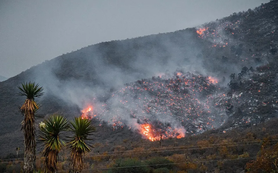 Han arrasado con más de 4 mil hectáreas incendios forestales activos en Tamaulipas