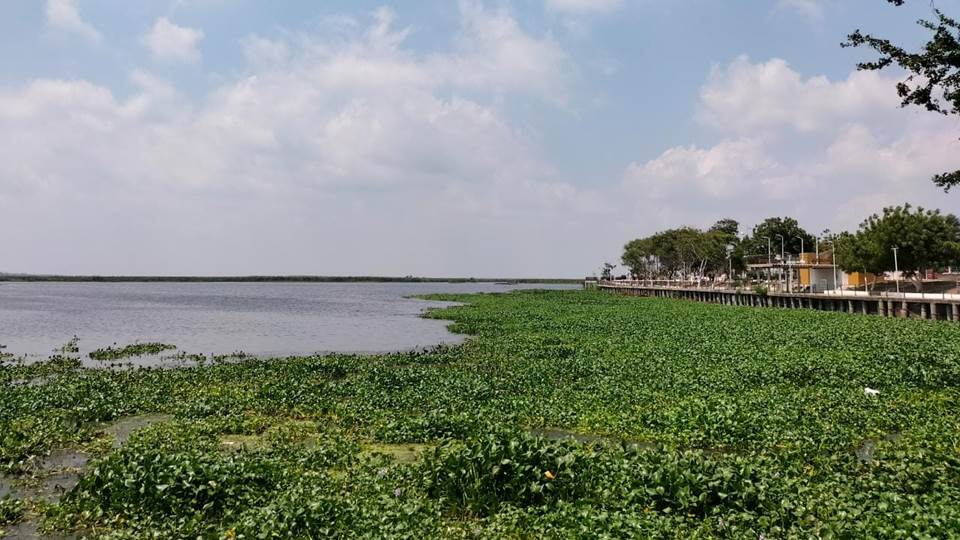 Pescadores afectados por el bajo nivel de la laguna Champayán