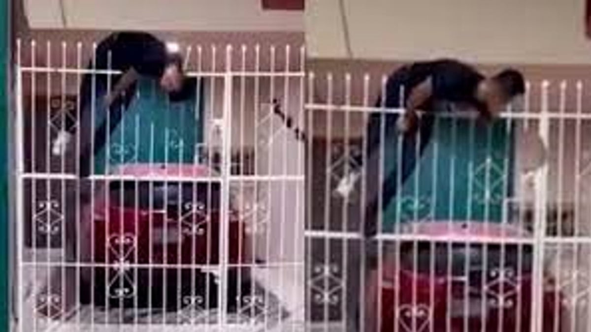 Intenta robar casa y queda ensartado en una reja 