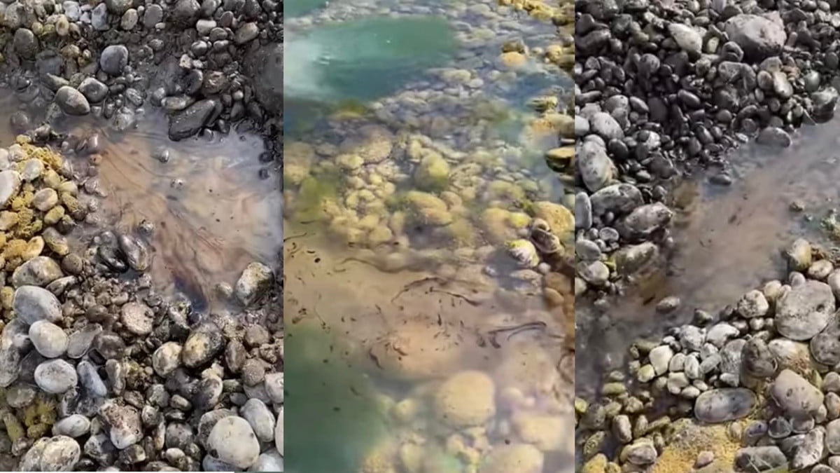 Derrame de petróleo afecta nuevamente al río Purificación en Estación Cruz