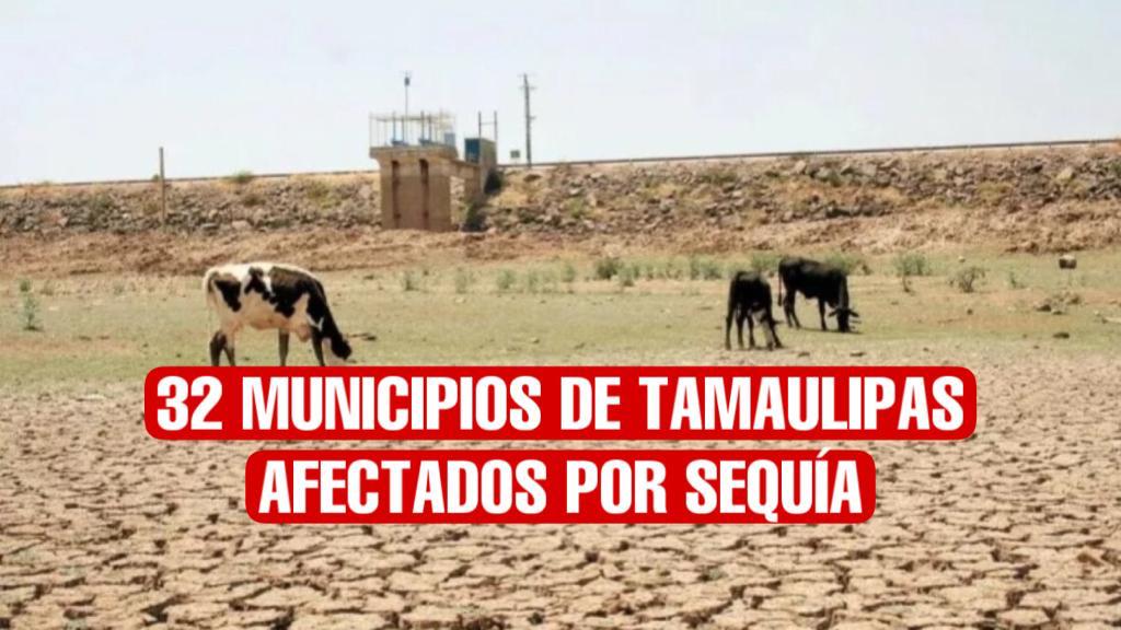 Sequía empeora y azota a 32 municipios de Tamaulipas