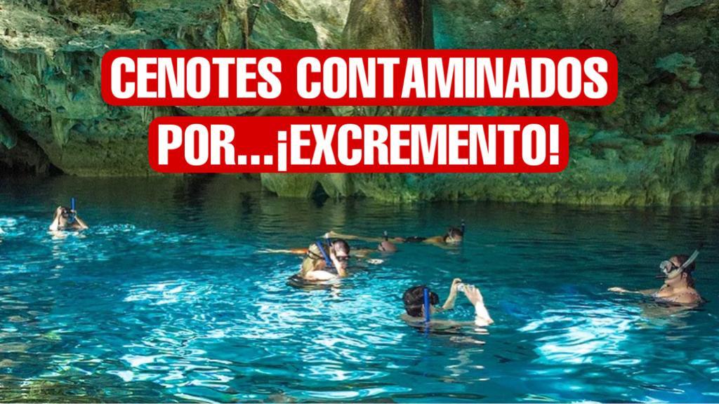 Detectan contaminación de la bacteria E. coli en cenotes de Quintana Roo