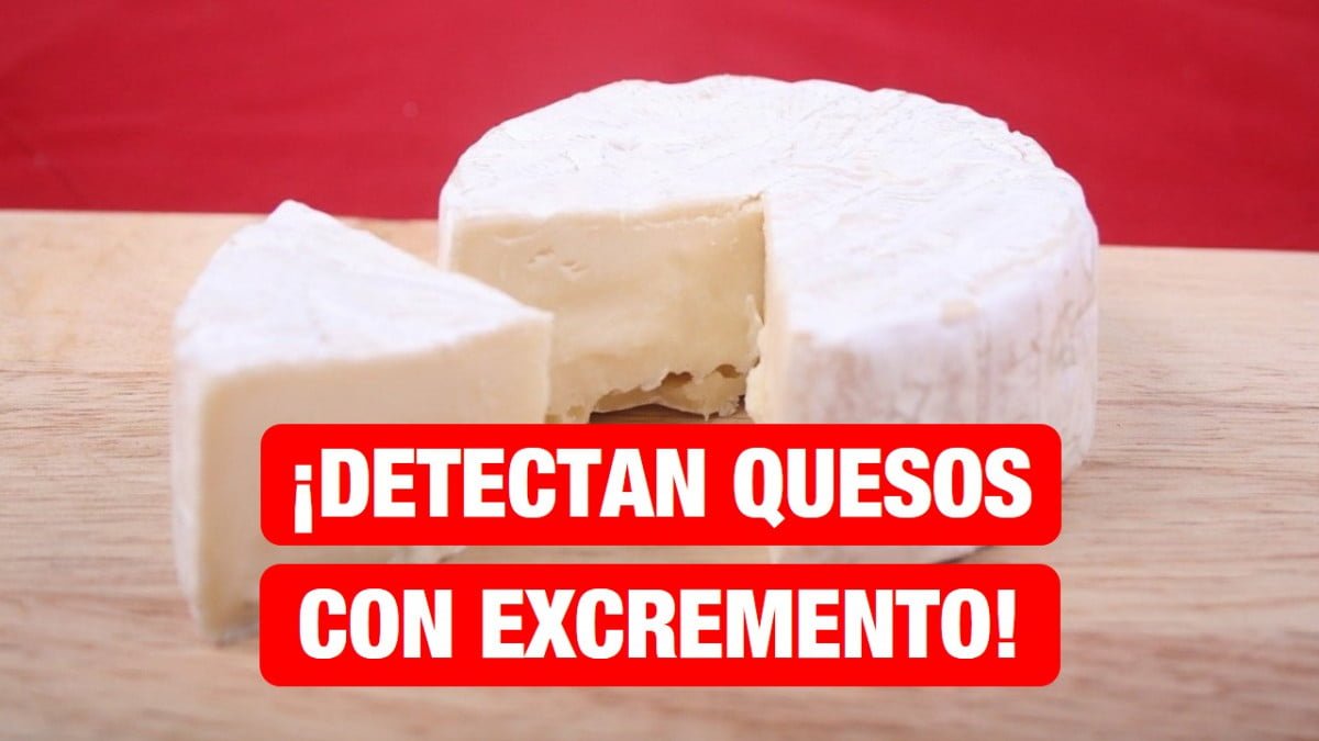 Detectan quesos contaminados con heces provenientes de Veracruz e Hidalgo.