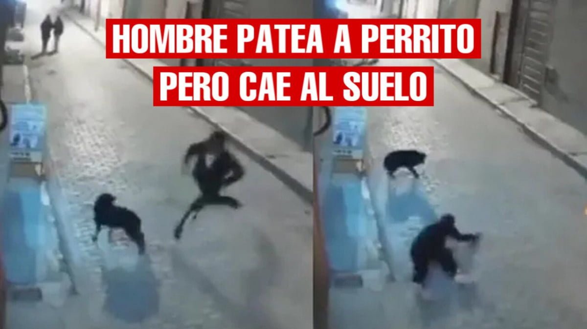 ¡Karma! Hombre intenta patear a perrito, pero falla y cae al suelo