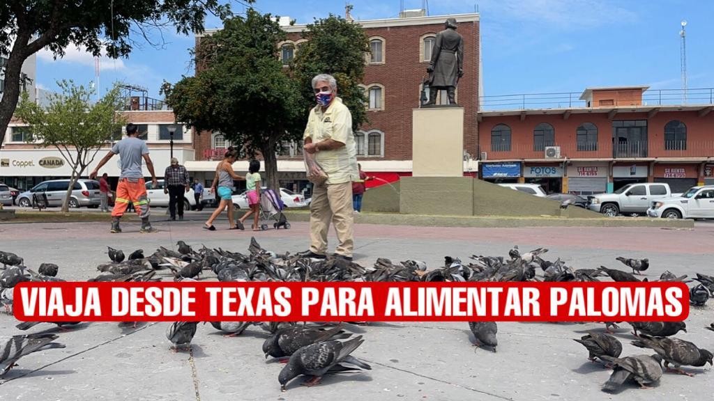 Convive fronterizo con palomas de la Plaza Hidalgo