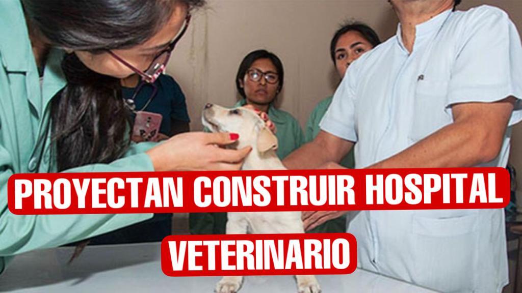Proyecta Altamira la construcción de un hospital veterinario