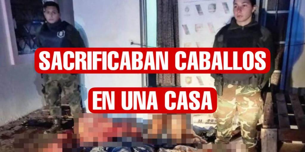 Descubren macabra casa donde sacrificaban caballos y vendían su carne para hamburguesas