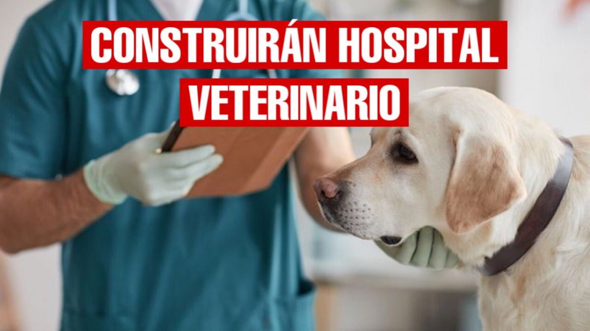 Construirán hospital veterinario en Altamira