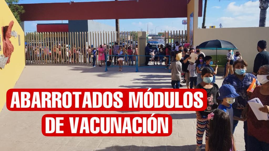 Abarrotan padres de familias módulos de vacunación para niños