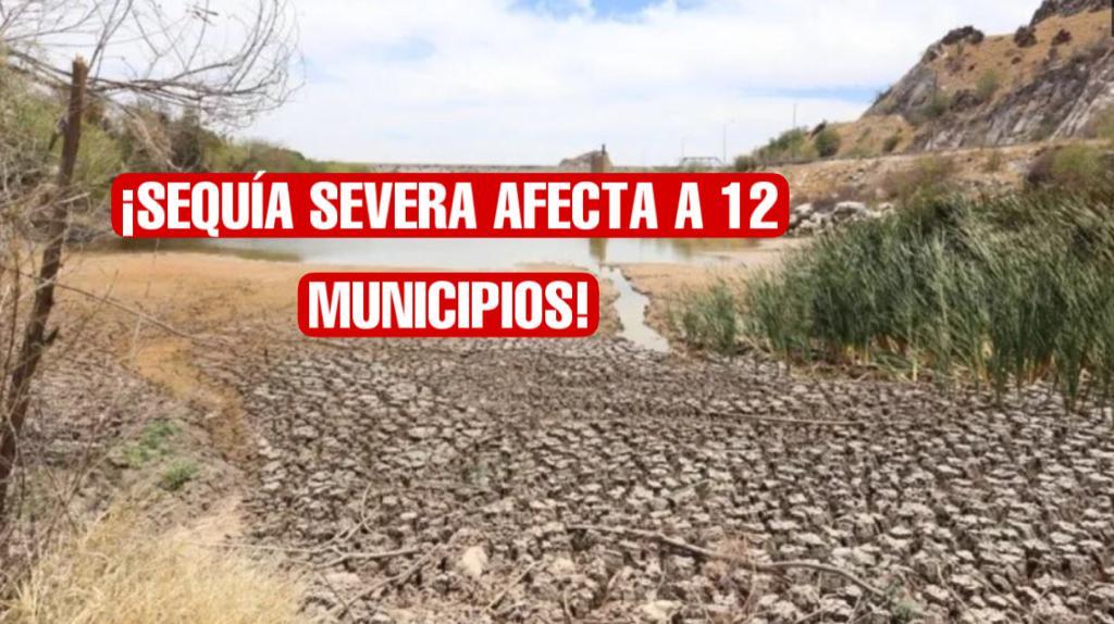 Declaran a Tamaulipas en emergencia por sequía