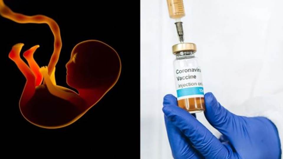 Afirma un juez del Supremo de EU que vacuna contra covid-19 usa “niños abortados”