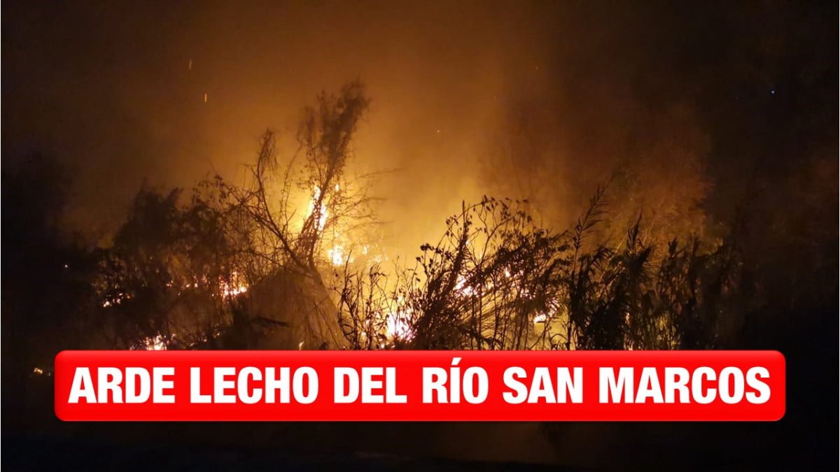 Voraz incendio consume el lecho del Río San Marcos en Victoria