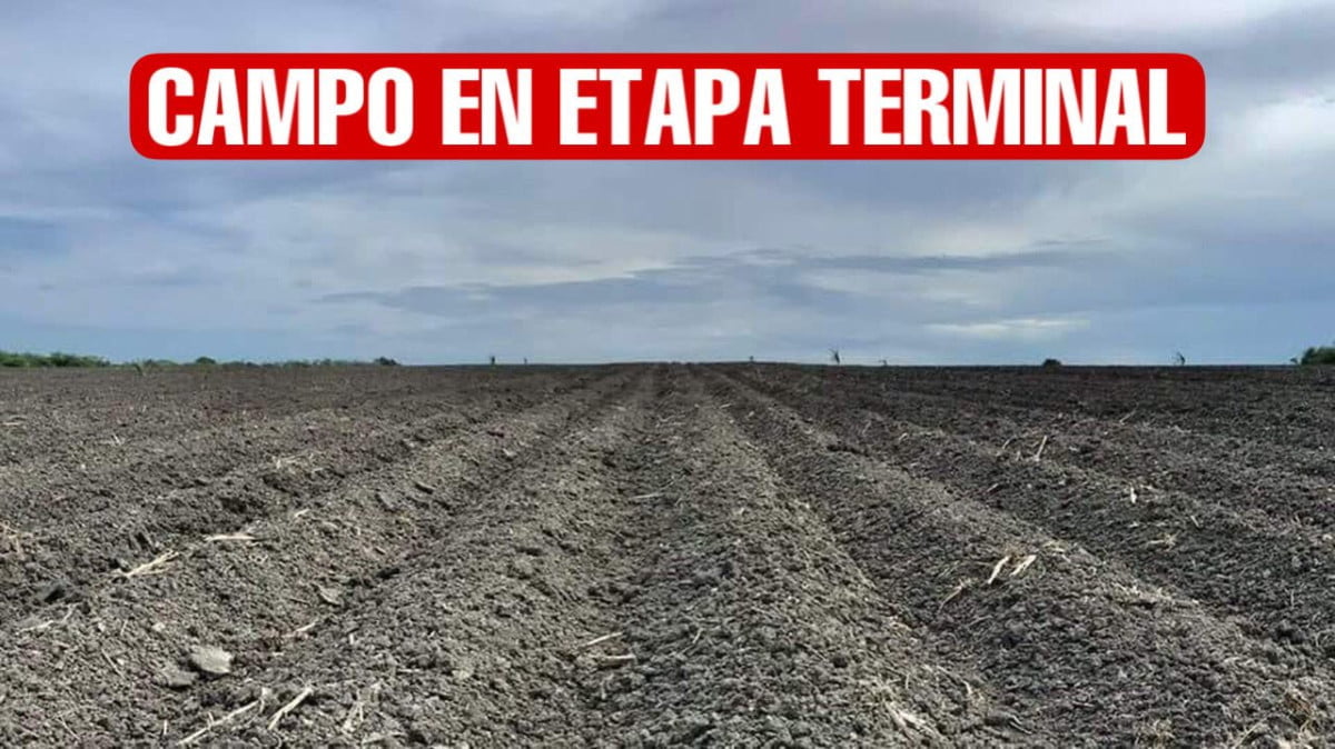 Campo de Tamaulipas en etapa terminal; falta mucho apoyo