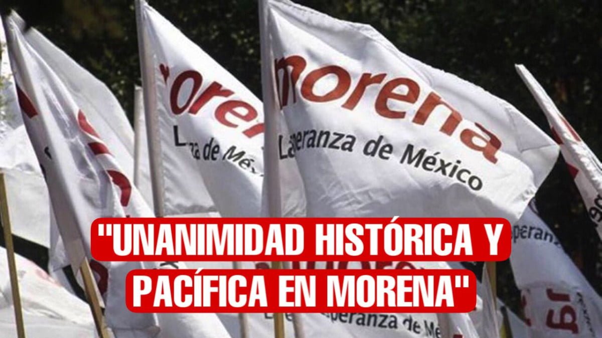 Unanimidad histórica y pacífica en Morena: Jorge Renteria.