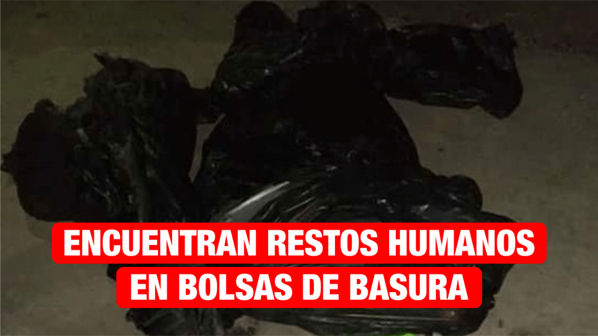 Encuentran restos humanos en bolsas de basura